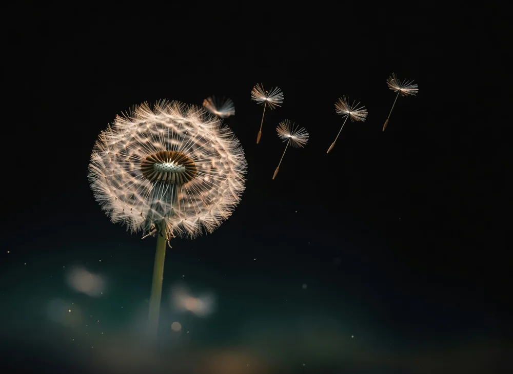 A dandelion seed head glowing in the dark, a few of its seeds lifting away on the air.